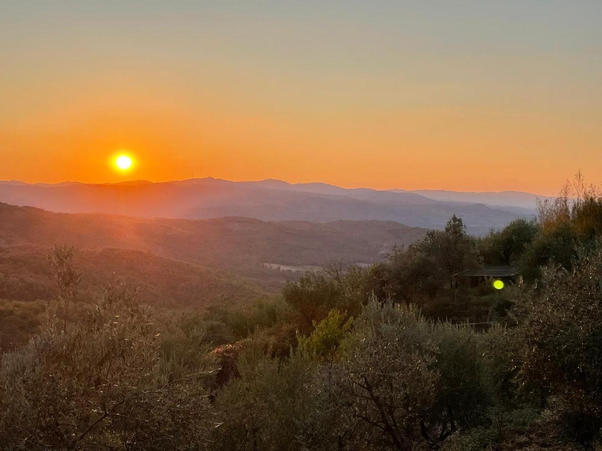 Casa Del Tramonto Daire Civitella in Val di Chiana Dış mekan fotoğraf
