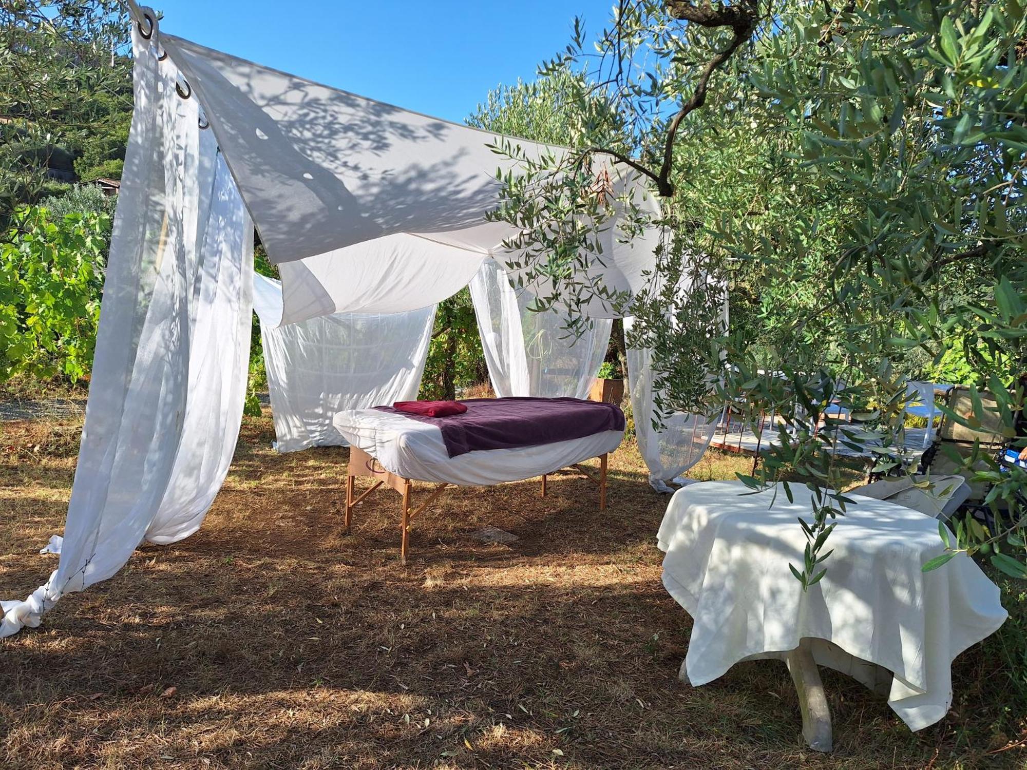 Casa Del Tramonto Daire Civitella in Val di Chiana Dış mekan fotoğraf